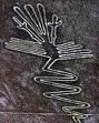 desenele desenele de la nazca