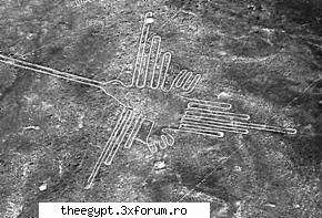 desen desenele de la nazca